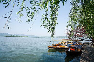 糖豆人NS史诗级背刺免费开放！迅游主机加速器尽享丝滑！